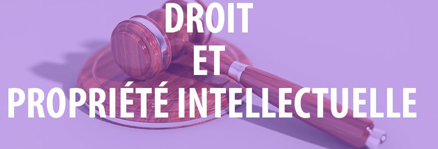 Propriété intellectuelle